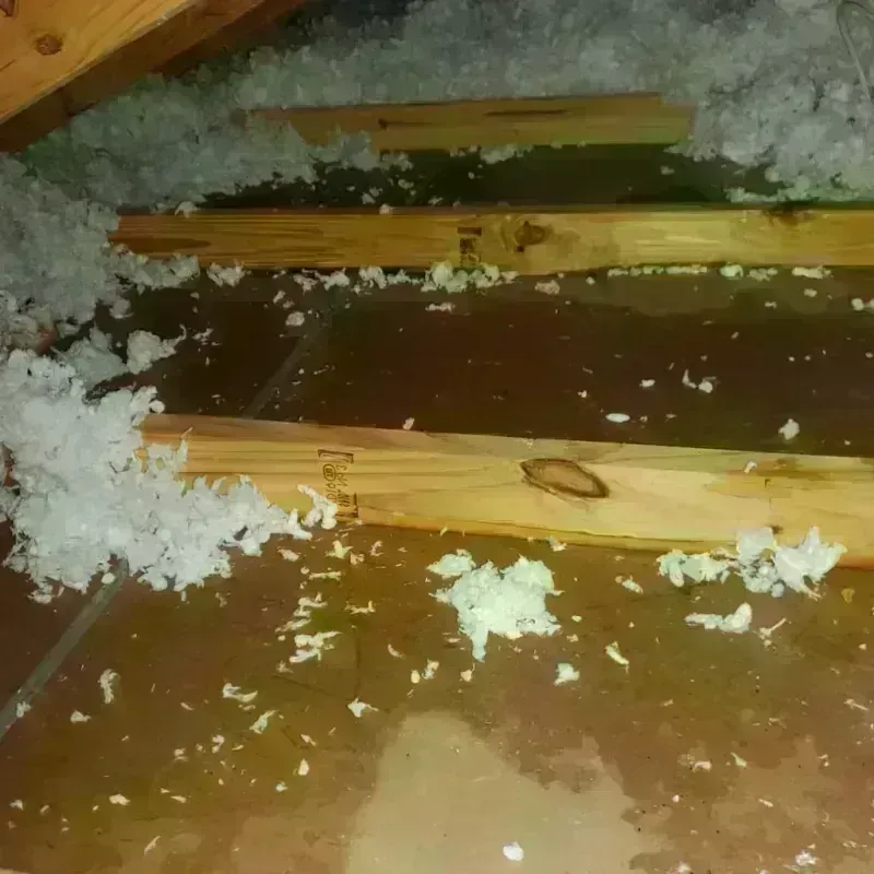 Attic Water Damage in Elmer, NJ