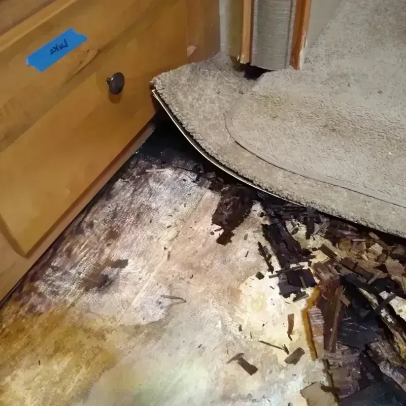 Wood Floor Water Damage in Elmer, NJ